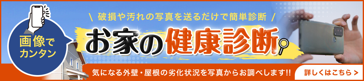 画像でカンタンお家の健康診断